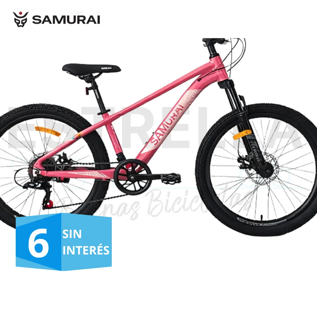BICICLETA SAMURAI SHONEN RODADO 24 CON CAMBIOS